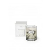 Frangipani - Scented Candle