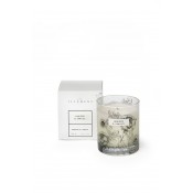 Nutmeg & Cinnamon - Scented Candle
