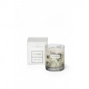 Fig & Ginger - Scented Candle