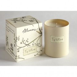 Fig Valloires - Scented Candle